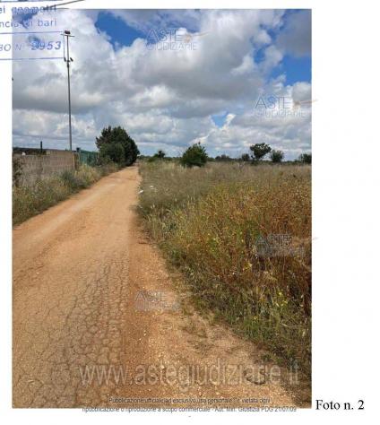 IMMOBILI-ALTRA CATEGORIA-Contrada Martucci, 70014 Conversano BA, Italia - Foto 2