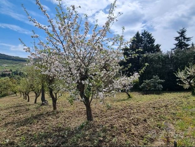 VENDESI TERRENO A POTENZA - Foto 2