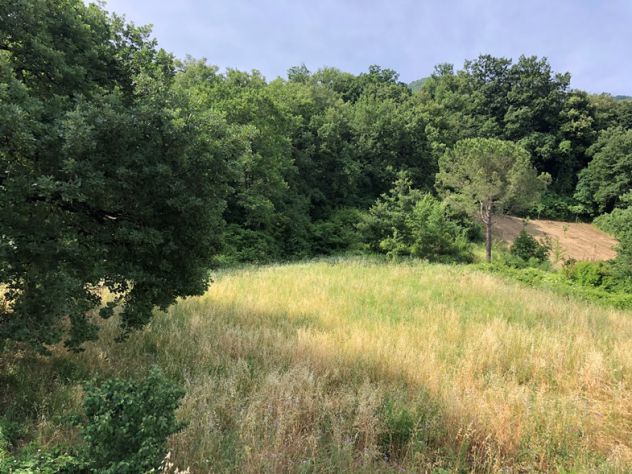 Fonte di Roccadaspide terreno agricolo - Foto 3