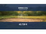 Immobile in asta di 692 m² in vendita a Sinnai