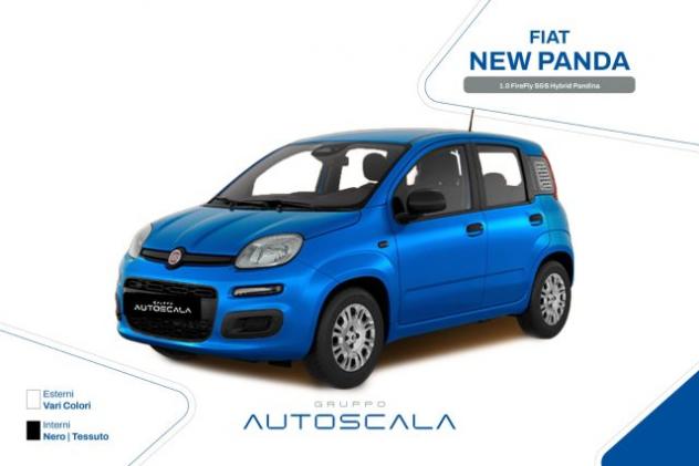 FIAT New Panda 1.0 FireFly S&S Hybrid Pandina rif. 22201009