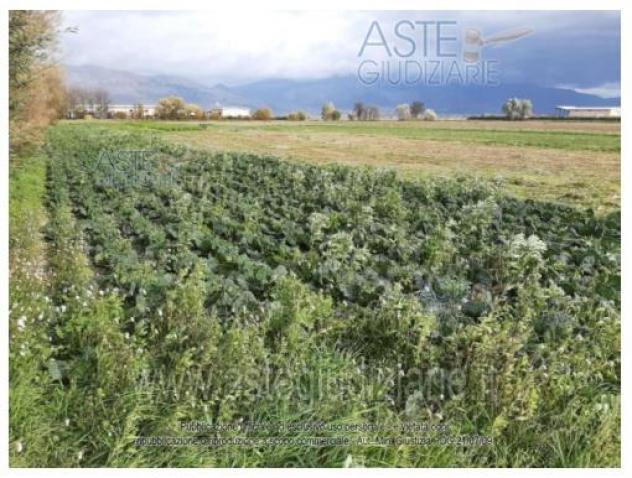 IMMOBILI-ALTRA CATEGORIA-Strada 2, 67051 Avezzano AQ, Italia - Foto 4