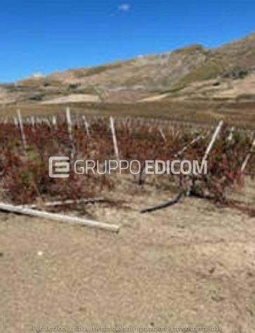 Terreno di 118260 mq in vendita a Monreale - Rif. 4552644 - Foto 4