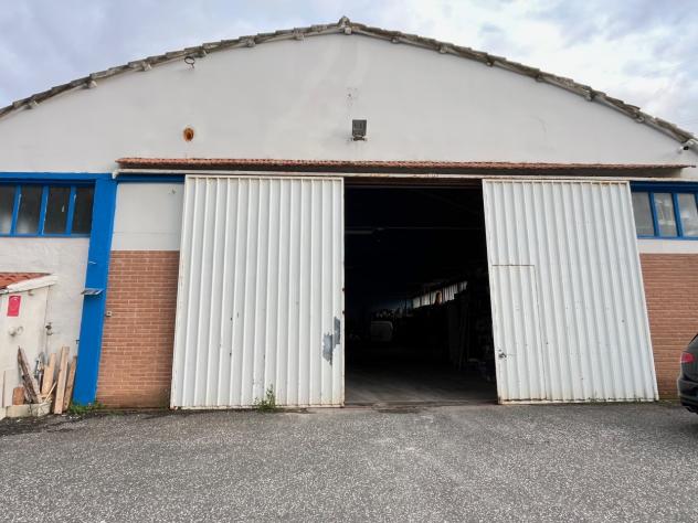 Industriale/Artigianale in vendita a Montescudaio - Foto 5