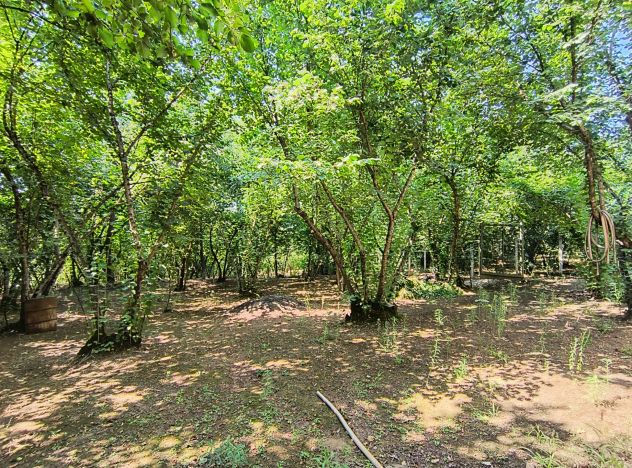 TERRENO CON GRAZIOSA CASCINA - Foto 3