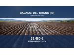 Immobile in asta di 52058 m² in vendita a Bagnoli del Trigno