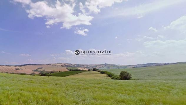 San costanzo proponiamo in vendita azienda agricola di circa 18 ettari. il terreno gode di un'ottima esposizione ed è facilmente raggiungibile dalle p - Foto 13