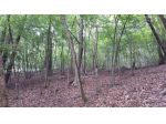 TERRENO AGRICOLO di 12500 mq (VOLPAGO DEL MONTELLO) rif. RT385B_1