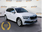 Škoda Kamiq 1.0 TSI 110 CV Ambition