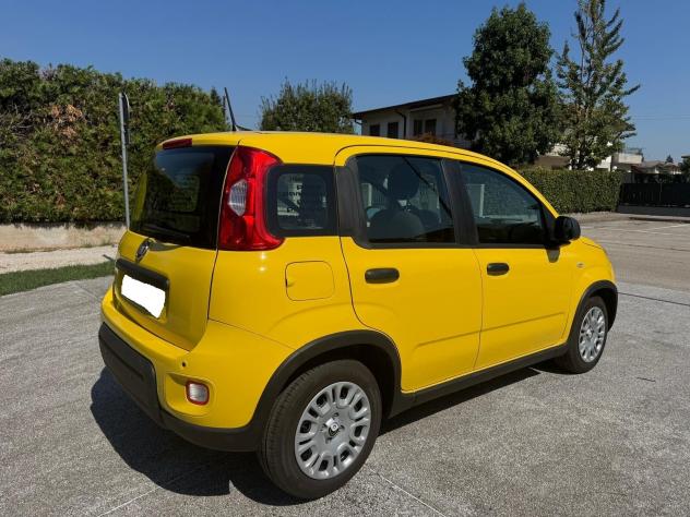 Fiat Panda 1.0 FireFly S&S Hybrid Pandina- 1.516 KM 2024 - Foto 4