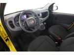 FIAT Panda Pandina 1.0 FireFly 65 CV Hybrid Pop rif. 23819344