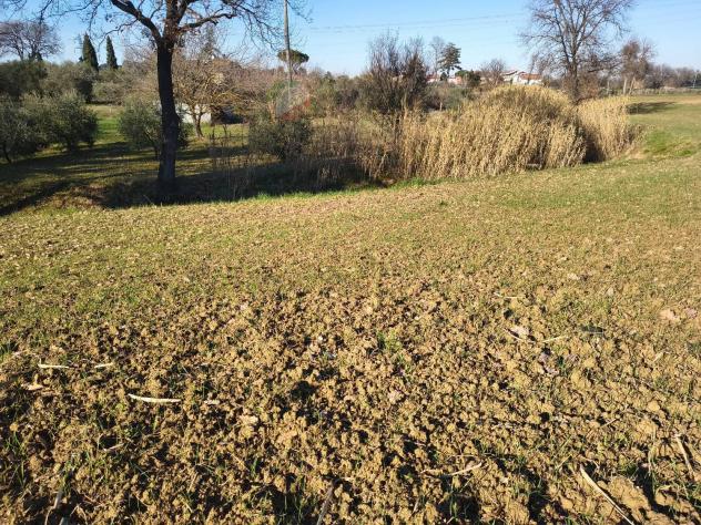 Terreno Agricolo - Riccione . Rif.: C 110 - Foto 6