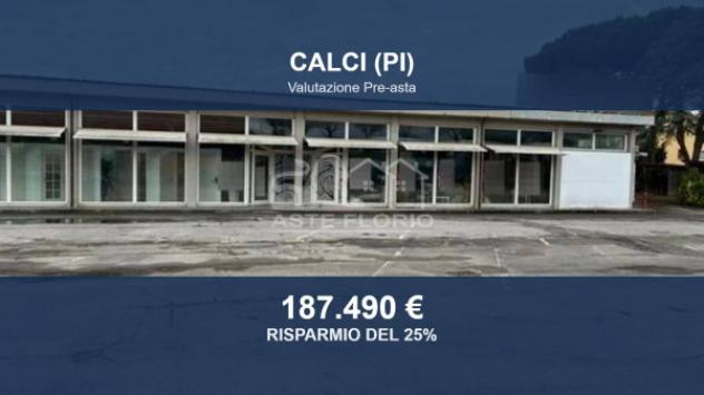 Immobile in asta di 204 m², box auto in vendita a Calci