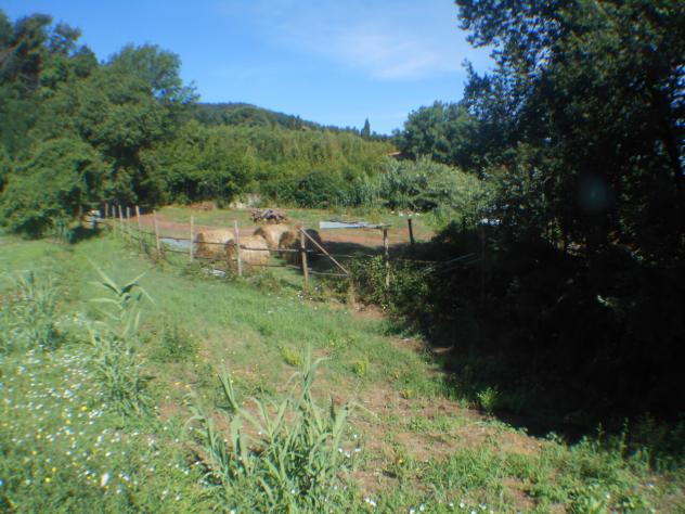 Villa in vendita a Lucca - Foto 12