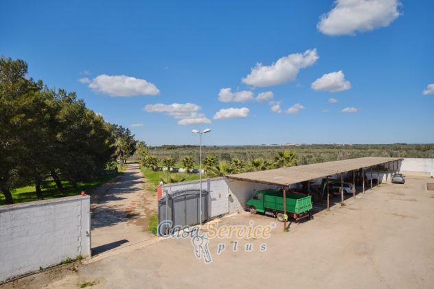 Antica e prestigiosa masseria nel Salento - Foto 3