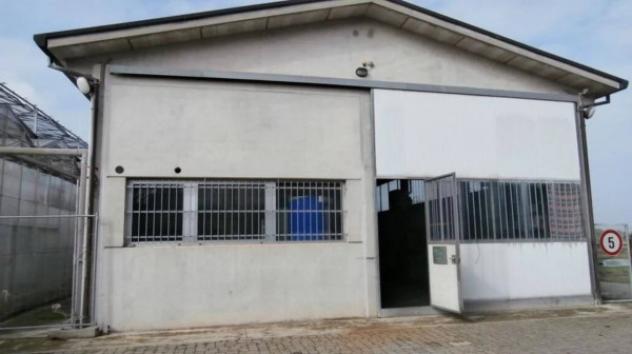 Immobile in asta di 5683 m² in vendita a Castenaso - Foto 4