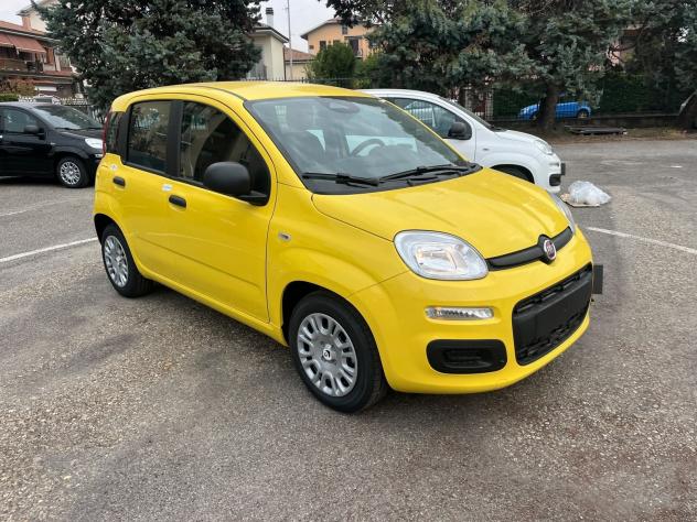 FIAT Pandina Pandina 1.0 firefly hybrid Icon s&s 65cv - Foto 3