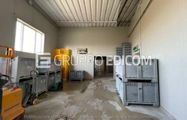 Laboratori per arti e mestieri in vendita a Zevio - Rif. 4562984 - Foto 8