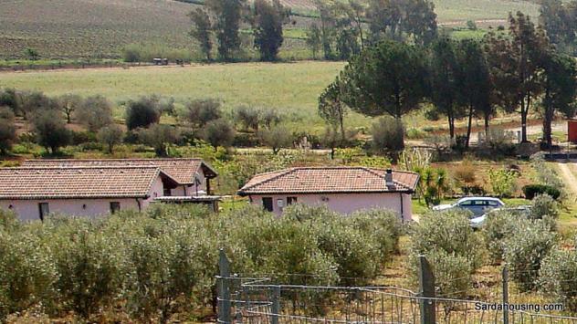 Donori, a 2 km dal paese, complesso agricolo-turistico di recente costruzione - Foto 3