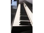 Fender Rhodes Mark I Stage Seventy-Three (73 tasti)