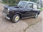 Fiat 1100 103 D