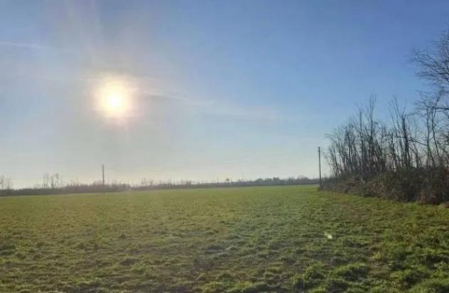 Immobile in asta di 54095 m² in vendita a Dairago - Foto 3