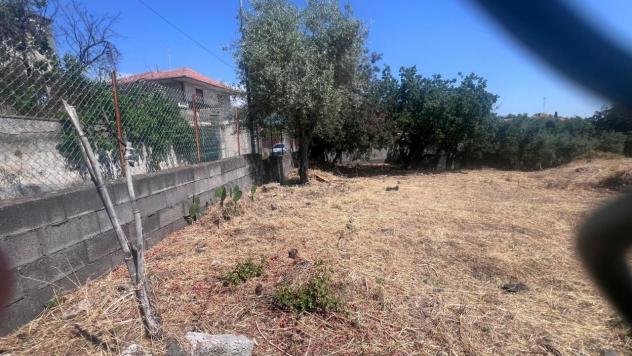 Agricolo in vendita a Tremestieri Etneo - Foto 6