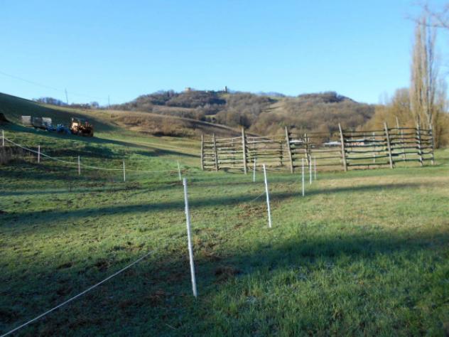 Immobile in asta di 12503 m² in vendita a Viano - Foto 5