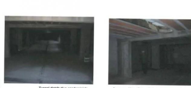 Immobile in asta di 186 m² con più di 5 locali e box auto in vendita a Anzio - Foto 2