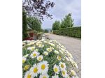 Villa in vendita a Falorni - Santa Maria a Monte 190 mq  Rif: 1444413