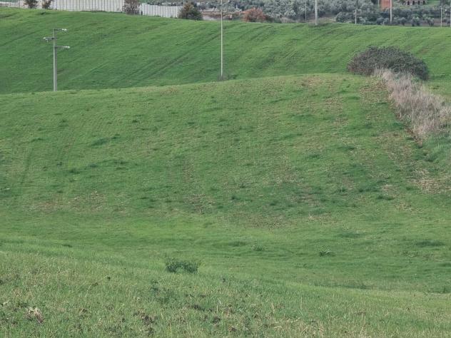 Agricolo in Via della Pescarella - Foto 4