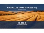 Immobile in asta di 5189 m² in vendita a Stradella