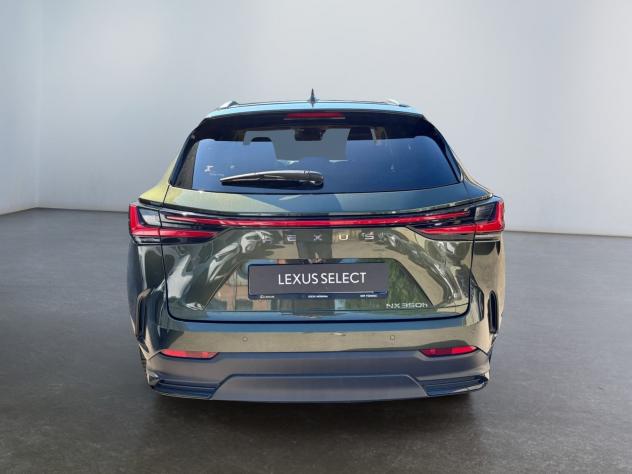 Lexus NX Hybrid Luxury 4WD MY22 - Foto 6