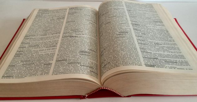 Dizionari per la scuola - Foto 5