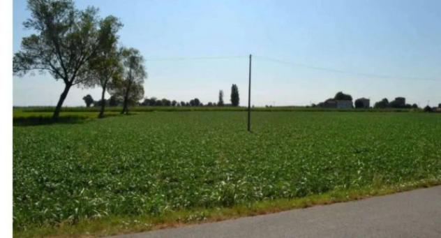 Immobile in asta di 47488 m² in vendita a Villaga - Foto 11