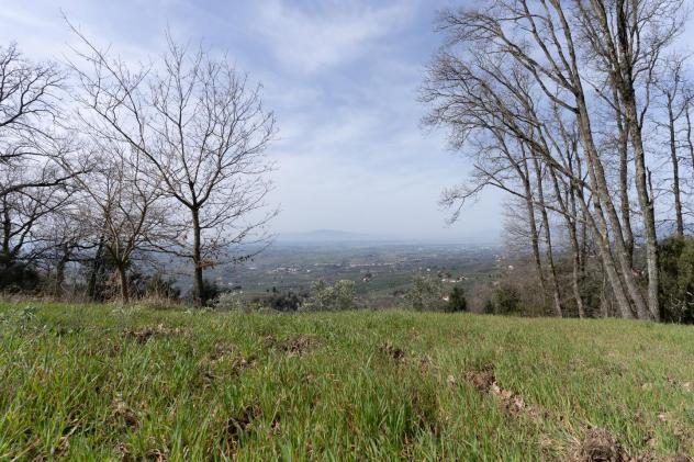 Terreno agricolo in vendita a Vitolini - Vinci 18450 mq Rif: 1399141 - Foto 5