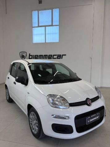FIAT Panda 1.0 FireFly S&S Hybrid Pandina rif. 23914254 - Foto 2