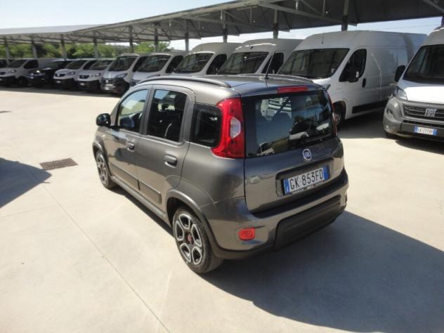 FIAT Panda 3ª serie Panda 1.0 FireFly S&S Hybrid City Life - Foto 3