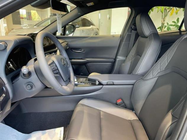 Lexus UX 300h F-Design - Foto 10