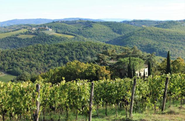 Terreno agricolo in vendita a Castelnuovo Berardenga 1000000 mq Rif: 1284898