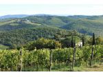 Terreno agricolo in vendita a Castelnuovo Berardenga 1000000 mq  Rif: 1284898