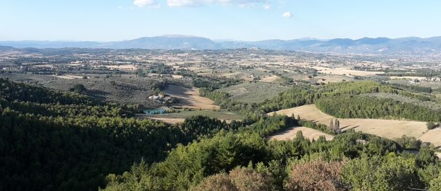 TORRE MEDIEVALE IN TENUTA DA 16 ETTARI SULLE COLLINE UMBRE - Foto 10