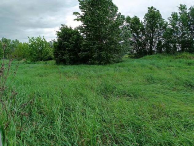 Immobile in asta di 12899 m² in vendita a Correggio - Foto 13