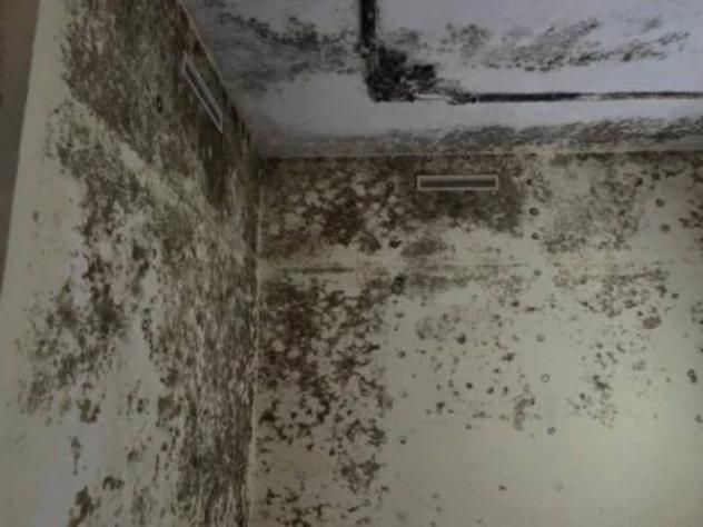 Immobile in asta di 110 m² in vendita a Termini Imerese - Foto 17