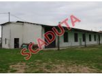 Immobile in asta di 1 m² con più di 5 locali in vendita a Cerea
