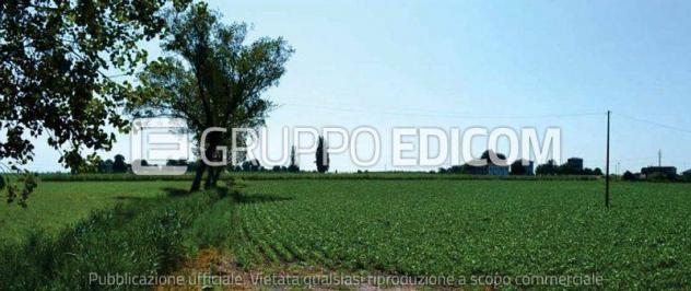 Terreno di 47488 mq in vendita a Villa Bartolomea - Rif. 4546681 - Foto 5