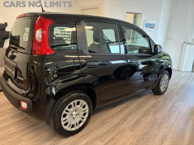 FIAT Panda 1.0 FireFly S&S Hybrid Icon rif. 24124946 - Foto 5