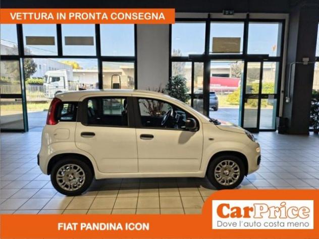 FIAT Pandina 1.0 FireFly 65CV Hybrid Icon (5 Posti) rif. 23975985 - Foto 6