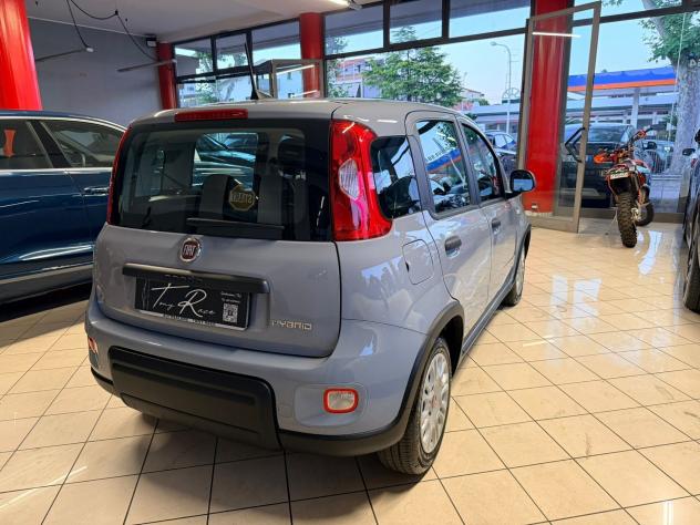 Fiat Panda 1.0 FireFly S&S Hybrid - Foto 6