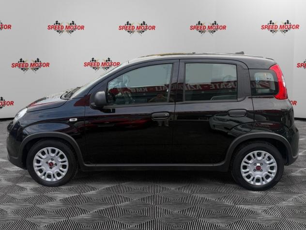 FIAT Panda Panda 1.0 firefly hybrid 70cv 5 POSTI, SENSORI PARCHEGGIO! - Foto 3